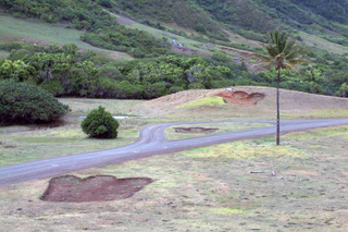 Illustration for article titled Godzilla Stomps Epic Footprints into the Landscape